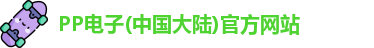 PP电子